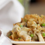 Chicken Tetrazzini piled on a plate ready to be served.