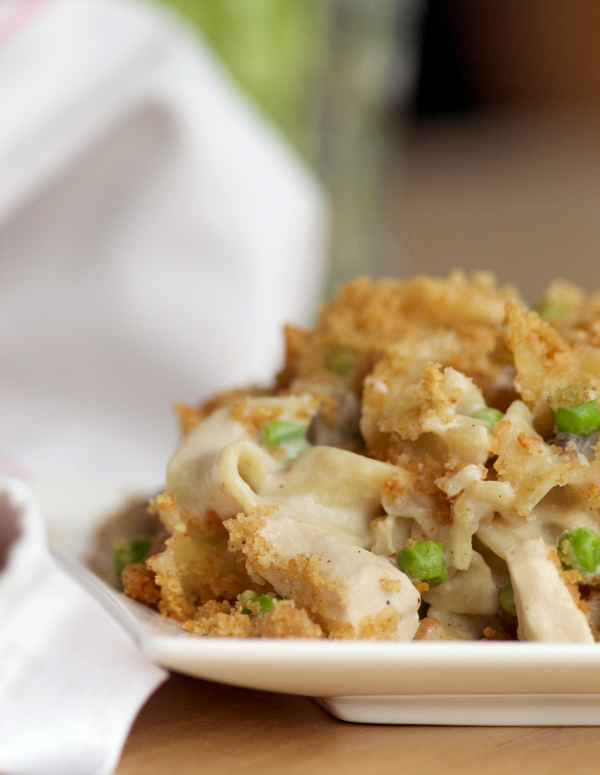 Chicken Tetrazzini piled on a plate ready to be served.