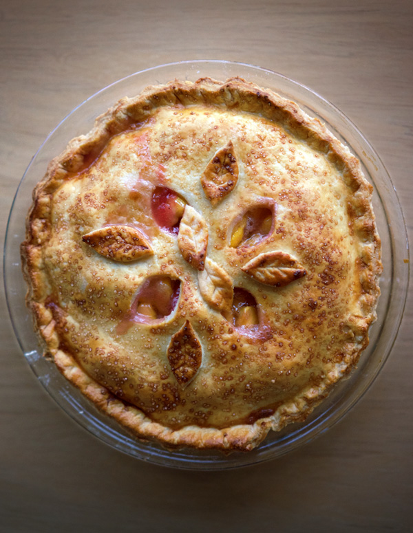Pie fresh out of the oven, photographed from above. Crust has vents shaped like leaves, with additional dough leaves creating a circular pattern on the crust.